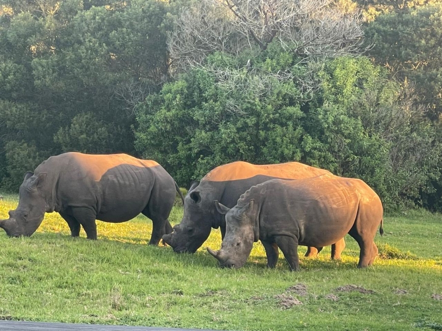 4 Bedroom Property for Sale in Kragga Kamma Eastern Cape